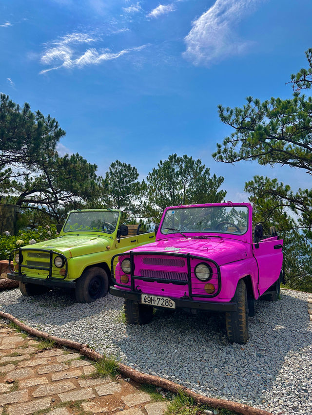 달랏에서 빼놓을 수 없는 인생샷명소 랑비앙산 ⛰️