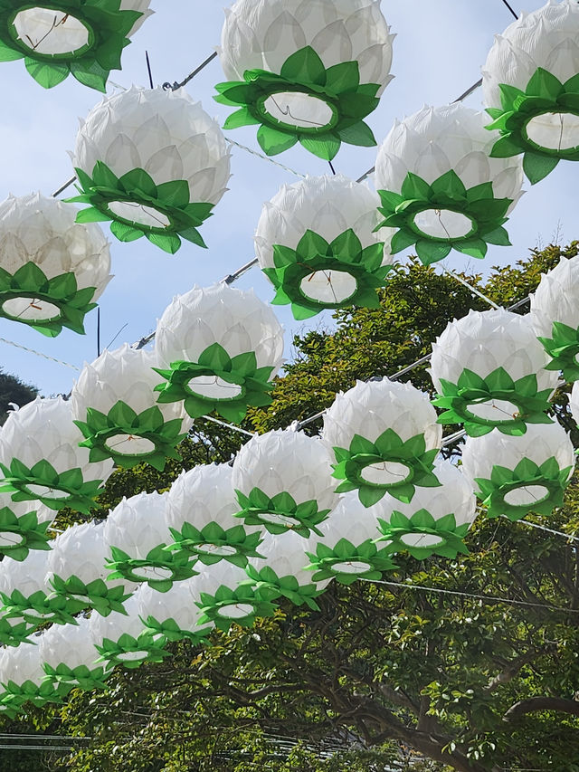 인공폭포와 꽃구경 하기 좋은 전북 사찰💚