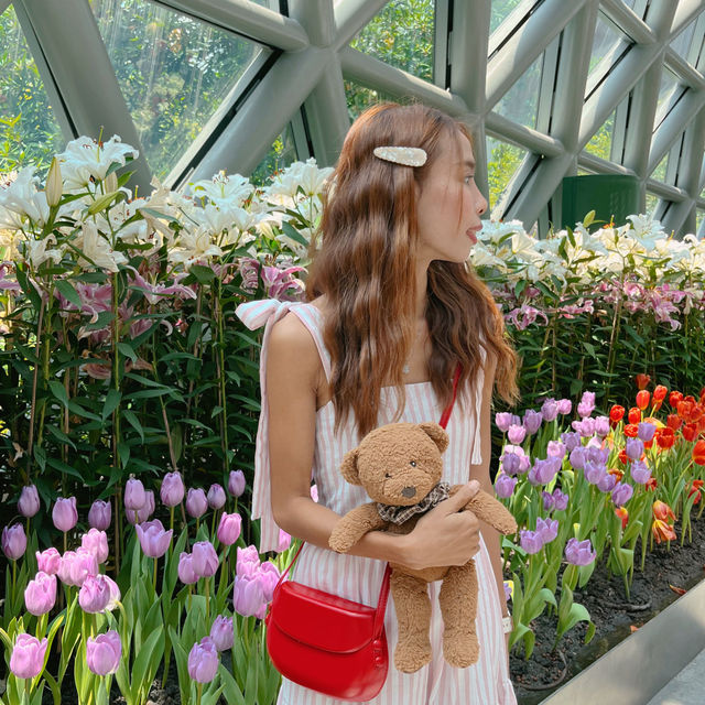สวนดอกไม้ระยอง 𝗠𝗶𝗿𝗮𝗰𝗹𝗲 𝗼𝗳 𝗡𝗮𝘁𝘂𝗿𝗮𝗹 