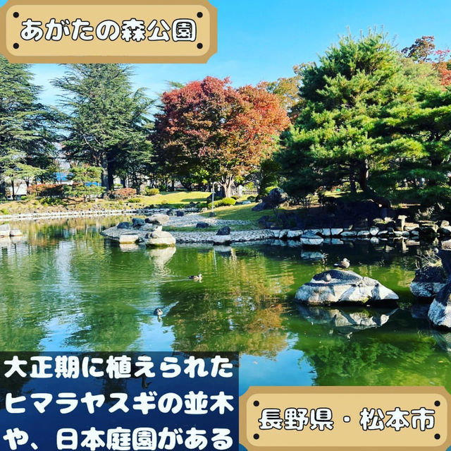 あがたの森公園