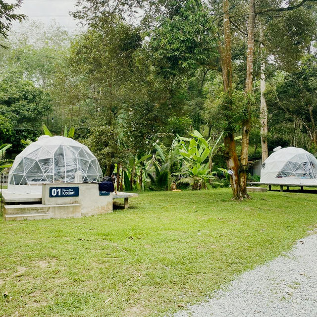Nature's Oasis: Glamping at The Hooton Retreat in Negeri Sembilan