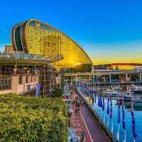Sunset Serenade: Darling Harbour Walk Steals Our Hearts!