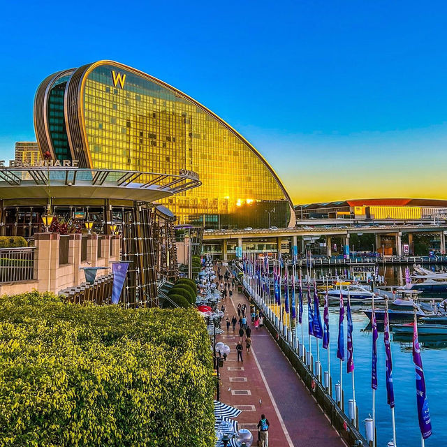 Sunset Serenade: Darling Harbour Walk Steals Our Hearts!