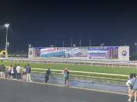 Must watch Horse Racing in Hong Kong 🇭🇰 🐎‼️