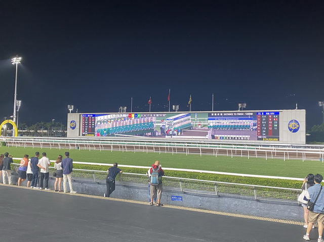 Must watch Horse Racing in Hong Kong 🇭🇰 🐎‼️