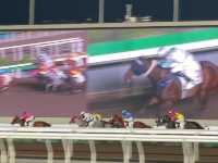 Must watch Horse Racing in Hong Kong 🇭🇰 🐎‼️