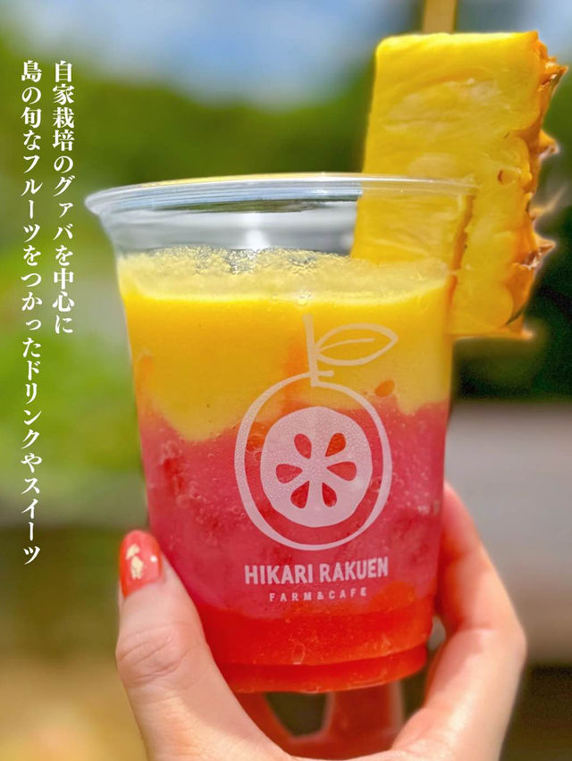 【沖縄・石垣】鬼リピ確定！島フルーツジュース🍹💕