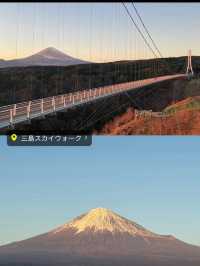 〜静岡県〜可愛すぎる🌸静岡おすすめスポット🗻