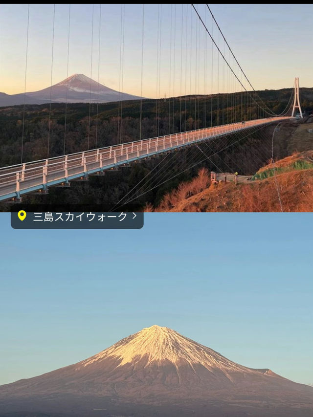 〜静岡県〜可愛すぎる🌸静岡おすすめスポット🗻