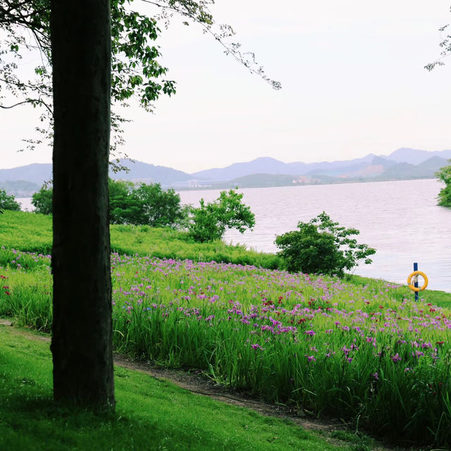 烏山頭水庫親水公園～寧靜祥和