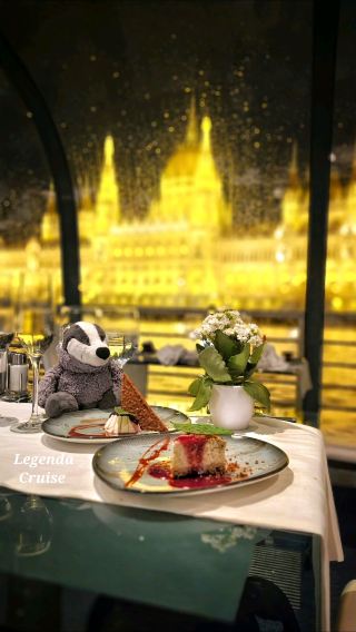 Memorable Dinner With Friends: Danube Cruise