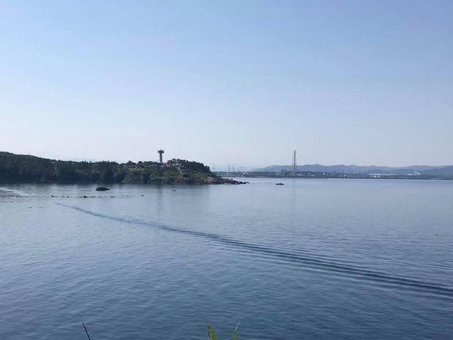 「雄島」