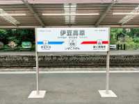 【伊豆大室山】詩意靜岡、東京🗼近郊的難忘體驗
