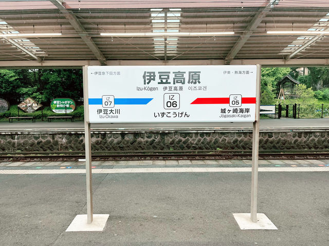 【伊豆大室山】詩意靜岡、東京🗼近郊的難忘體驗