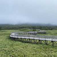 北海道の壮大な自然界