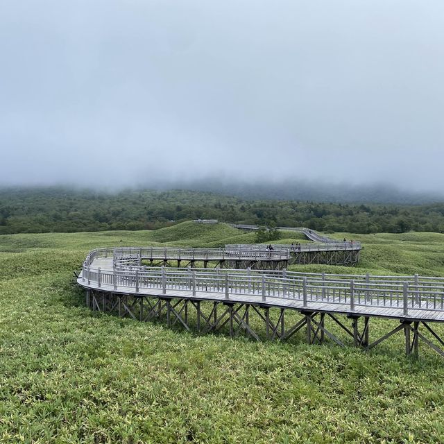 北海道の壮大な自然界