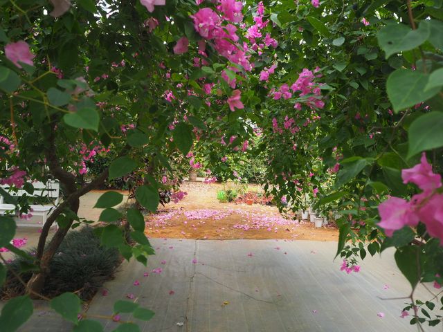 【宮古島】南国のお花がいっぱいユートピアファーム🌺