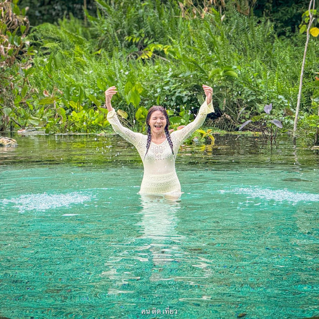 ป่าต้นน้ำบ้านน้ำราด จ.สุราษฎร์ธานี