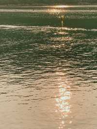 海下灣：與小丑魚共舞的玻璃海夢境