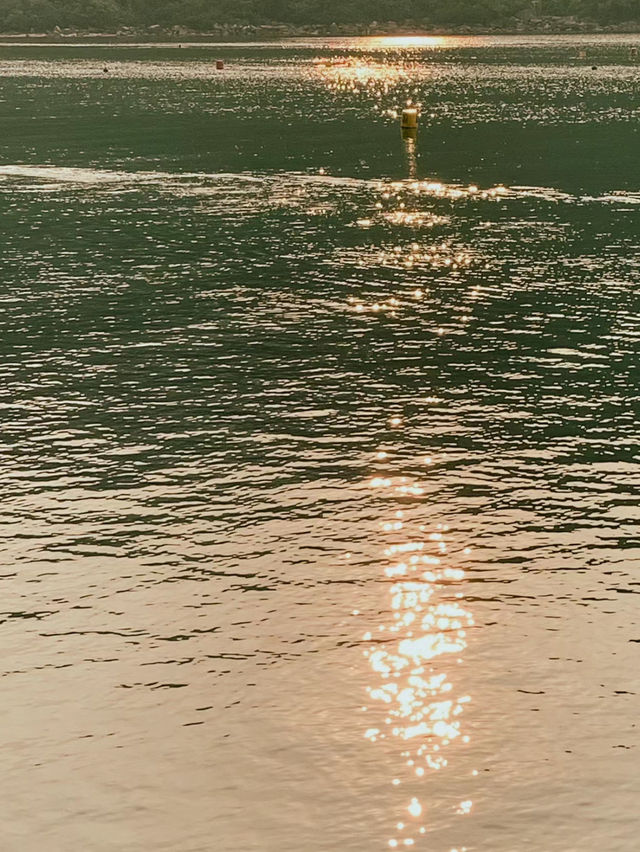 海下灣：與小丑魚共舞的玻璃海夢境