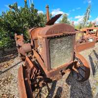 325 ACRES OF RURAL FARMLAND