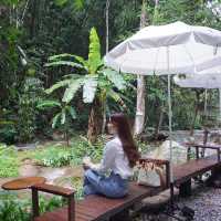 คาเฟ่ติด ลำธาร เชียงใหม่