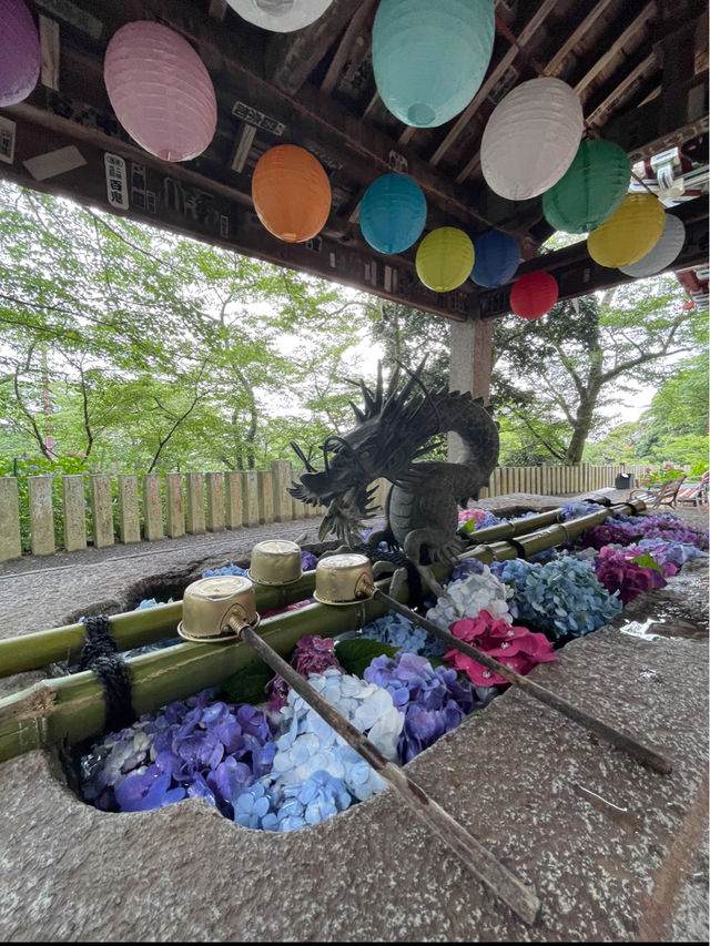 誰もが一度は見たい水中華🥰💠💐圧巻の紫陽花演出は必見！