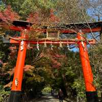 〜京都府宇治市〜日本最古の神社！世界遺産宇治上神社