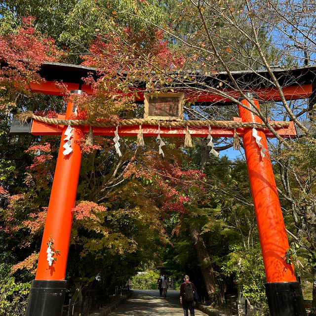 〜京都府宇治市〜日本最古の神社！世界遺産宇治上神社