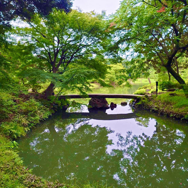〜東京都〜六義園(りくぎえん)美しい日本庭園！穴場スポット