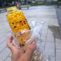 【北海道札幌市】お花が綺麗な大通公園🌷