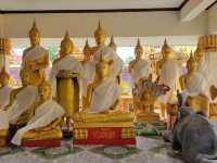 Be calm and enjoy the glow of the golden reclining Buddha in Laos! 