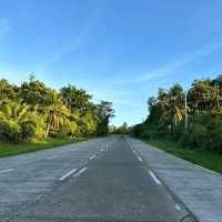 Northern siargao island - palm tree heaven
