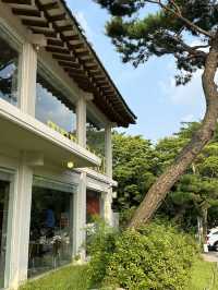 남한산성의 자연을 바라보며 🌳여유롭고 느긋한 시간을 보낼 수 있는 감성카페추천 💚