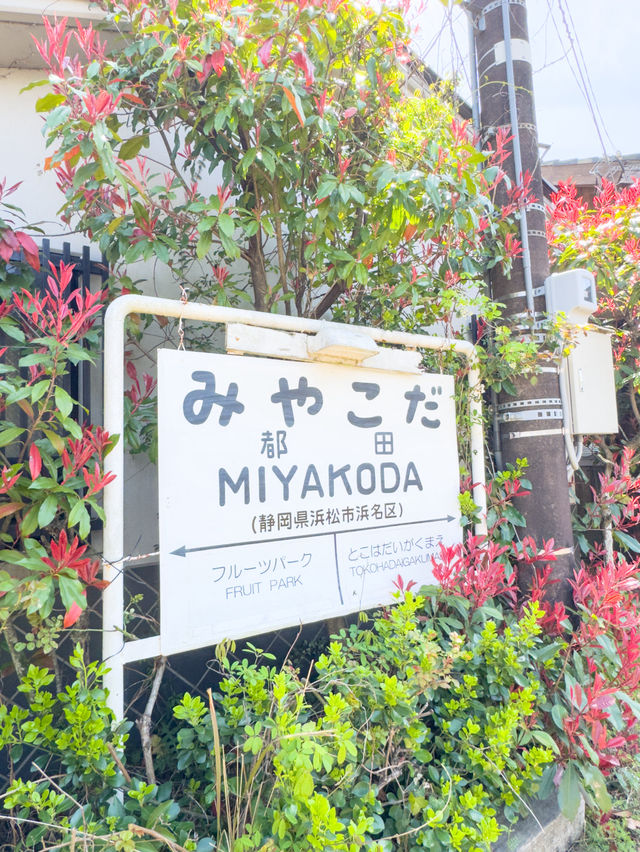 【静岡】静岡の隠れたフォトスポット📸✨ 都田駅でノスタルジックな旅気分を！