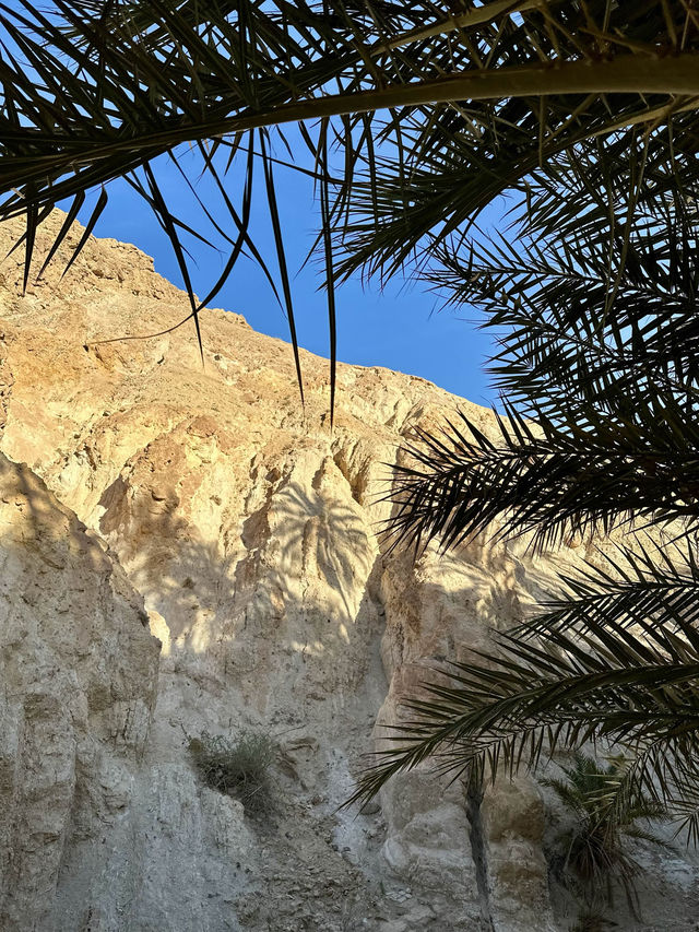🌴 Discover the Enchanting Chebika Oasis in Tunisia 🇹🇳 