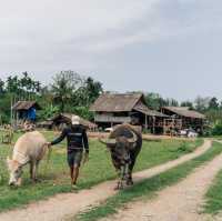 เดินป่าเมืองปัว จ.น่าน