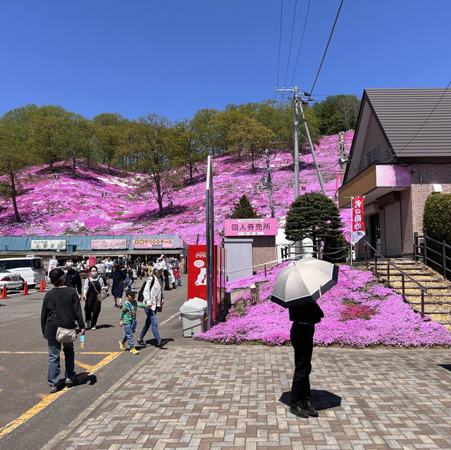 Rediscovering Japan : A Serene Escape to Hokkaido