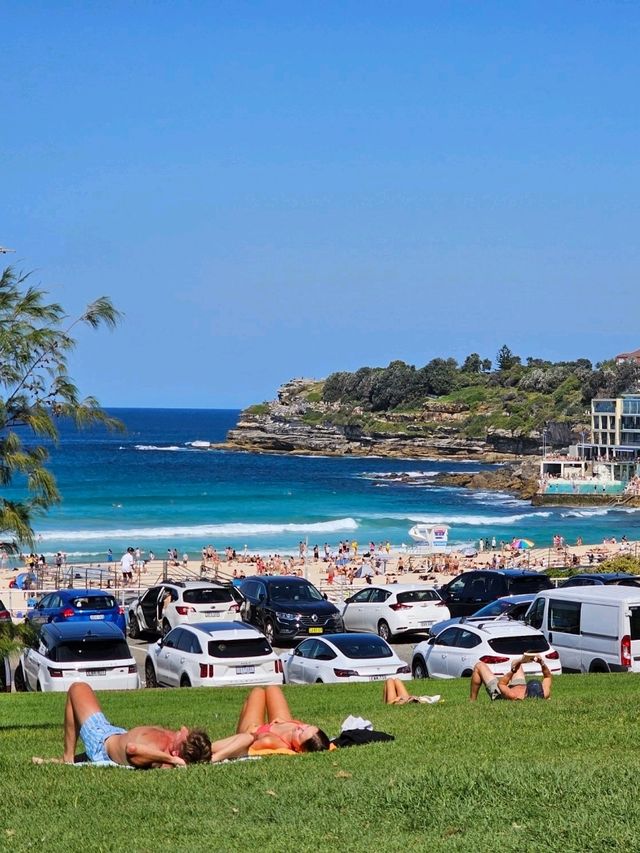 시드니 🇦🇺 많은 사람들이 사랑하는 해변 ⛱️