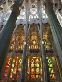 スペイン旅行【バルセロナ🇪🇸圧巻のサグラダファミリア 】