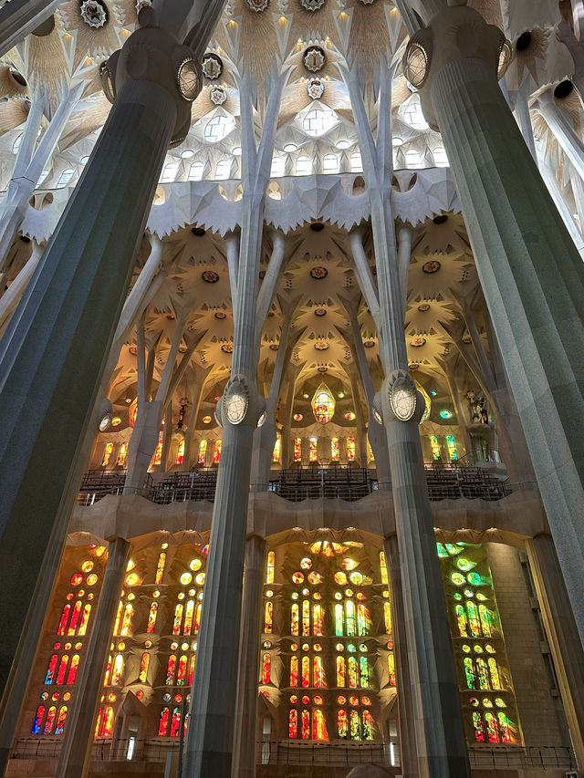 スペイン旅行【バルセロナ🇪🇸圧巻のサグラダファミリア 】