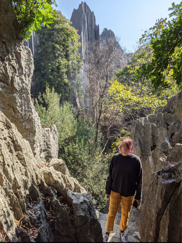 Exploring the Stone Forest in Kunming, Yunnan 🇨🇳