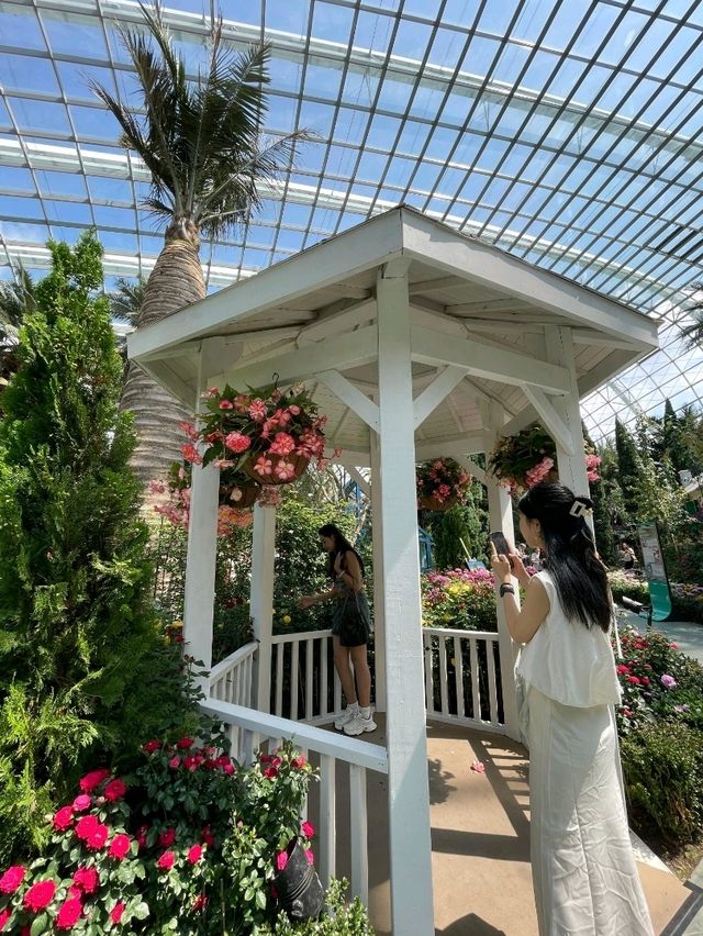🇸🇬Flower Dome Singapore 
