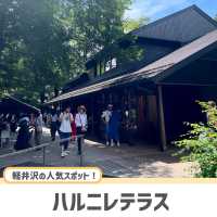 【軽井沢】必ず抑えたい自然を感じられる大人気スポット🌱