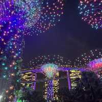 シンガポール3泊5日旅✈️スケジュールと費用