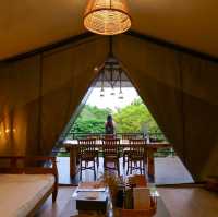 🏕️ที่พักเขาใหญ่แกลมปิ้งสุดไพรเวท Te Mata Glamping