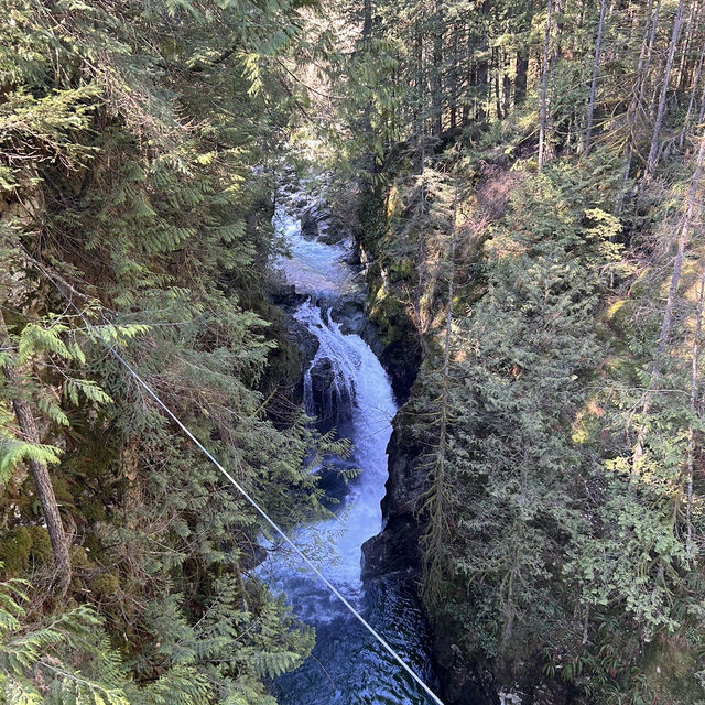 【バンクーバー inカナダ】🇨🇦Lynn Canyon Park 〜カナダの軽井沢〜
