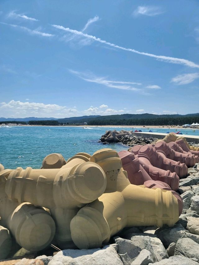 영덕을 대표하는 등대는 바로 여기🐳