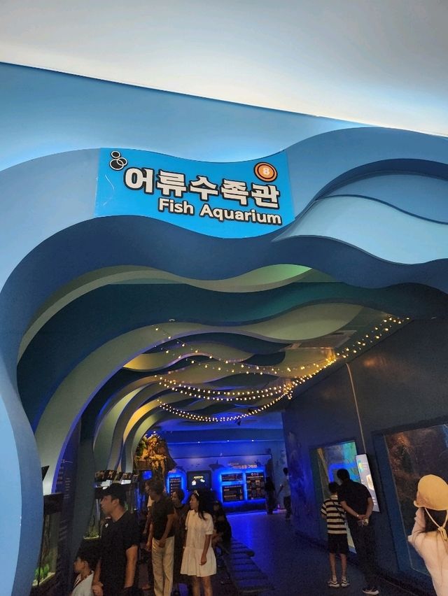 돌고래를 볼수있는 가을여행지 장생포 고래생태체험관❤️