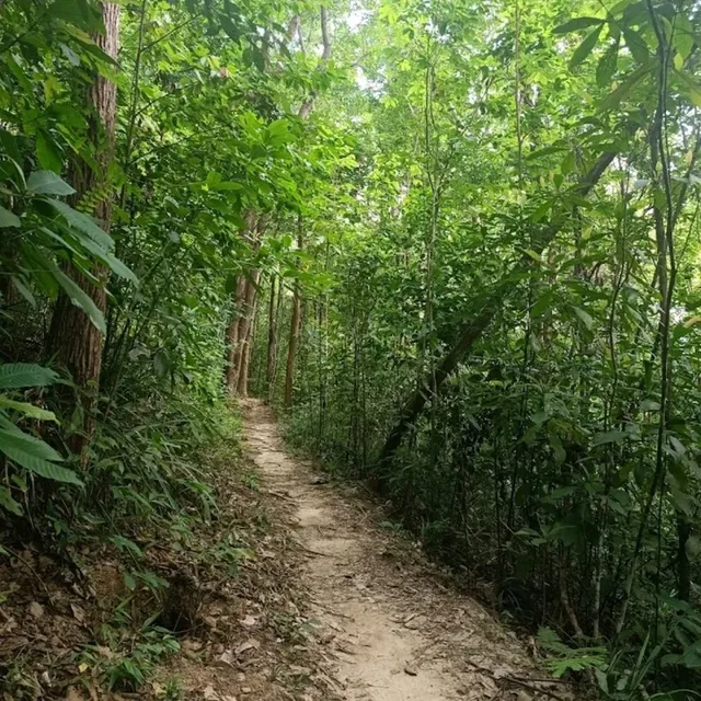 Darulaman Trails